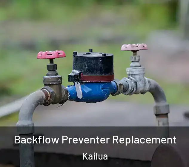  Backflow Preventer Replacement Kailua