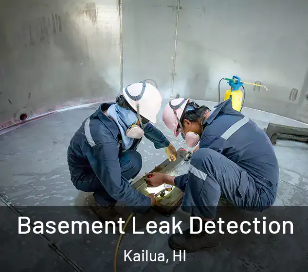  Basement Leak Detection Kailua, HI