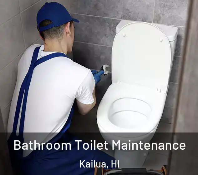  Bathroom Toilet Maintenance Kailua, HI