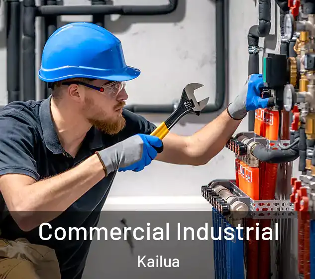  Commercial Industrial Kailua