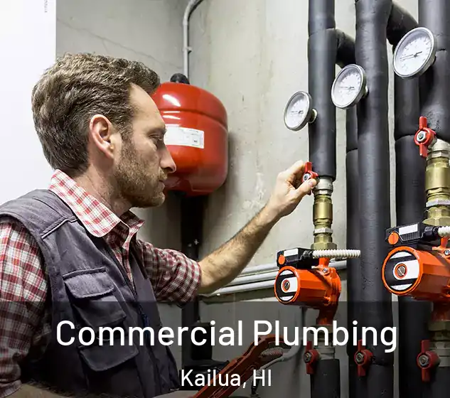  Commercial Plumbing Kailua, HI