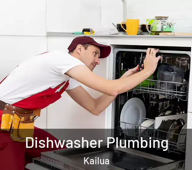  Dishwasher Plumbing Kailua