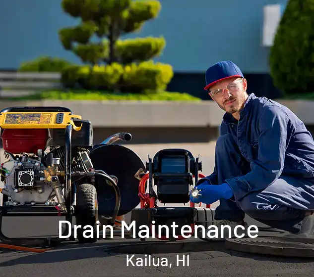  Drain Maintenance Kailua, HI