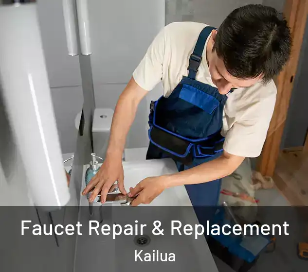  Faucet Repair & Replacement Kailua