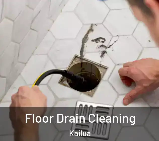  Floor Drain Cleaning Kailua