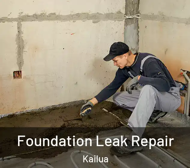  Foundation Leak Repair Kailua