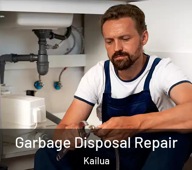  Garbage Disposal Repair Kailua