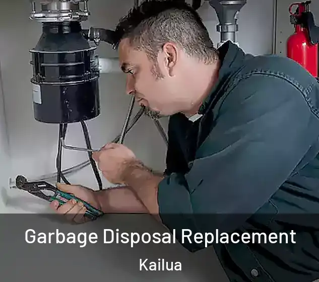  Garbage Disposal Replacement Kailua