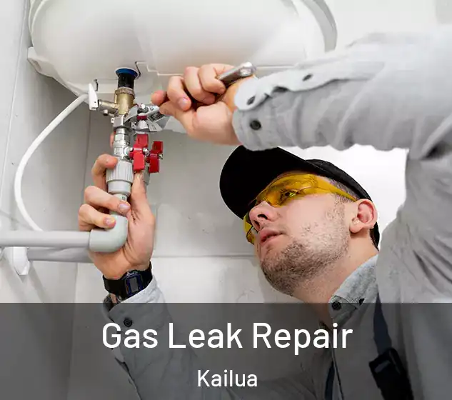  Gas Leak Repair Kailua