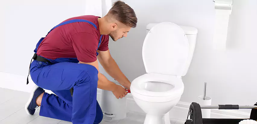 Scope of Bathroom Toilet Bowl Replacement Services in Kailua, HI