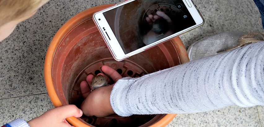 Scope of Drain Camera Inspection Services in Kailua, HI