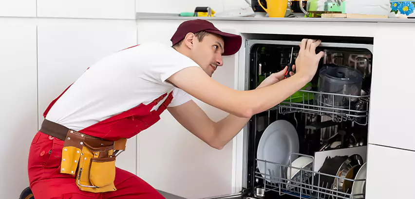 Scope of Kitchen Dishwasher Installation Services in Kailua, HI