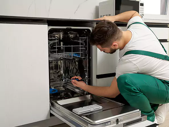 Why Kailua Plumbing is the First Choice for Kitchen Dishwasher Installation Services in Kailua, HI?