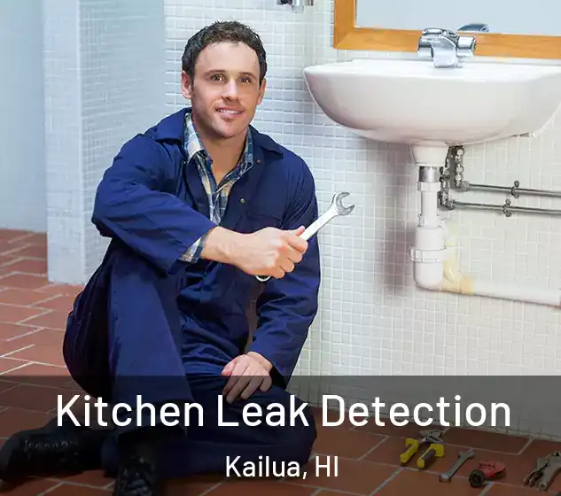  Kitchen Leak Detection Kailua, HI