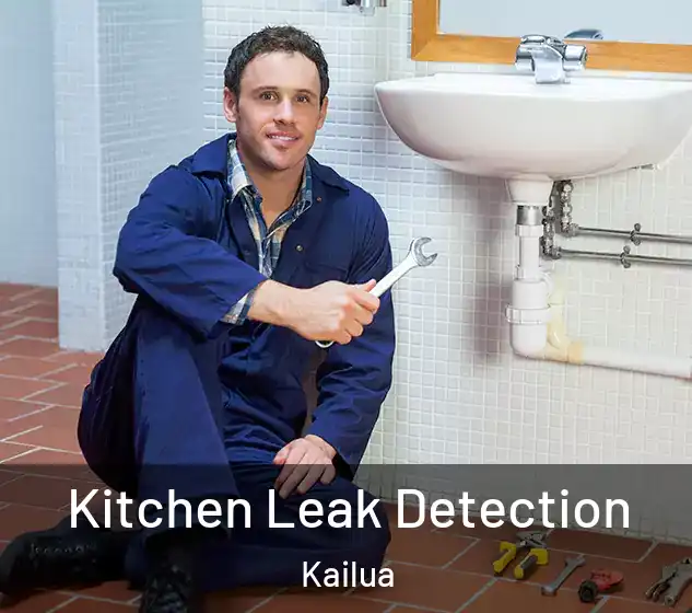  Kitchen Leak Detection Kailua