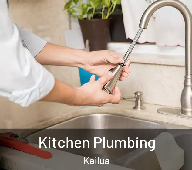  Kitchen Plumbing Kailua
