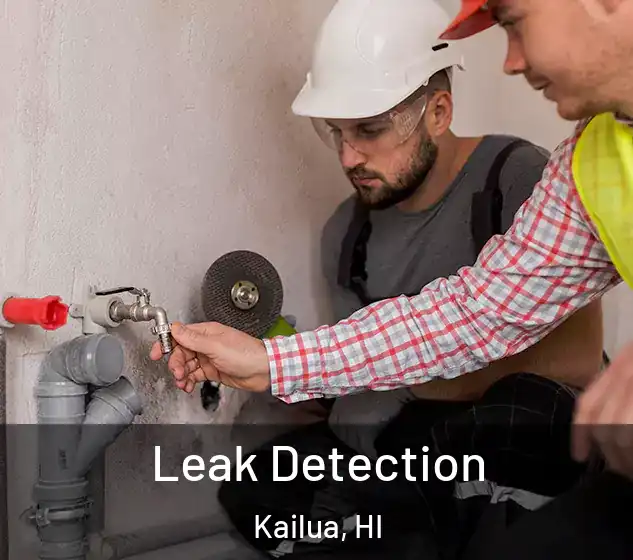  Leak Detection Kailua, HI
