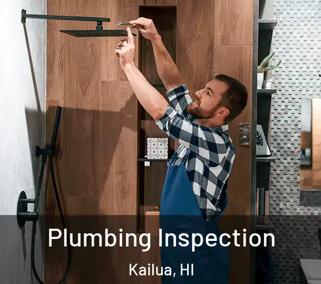  Plumbing Inspection Kailua, HI
