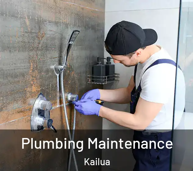  Plumbing Maintenance Kailua