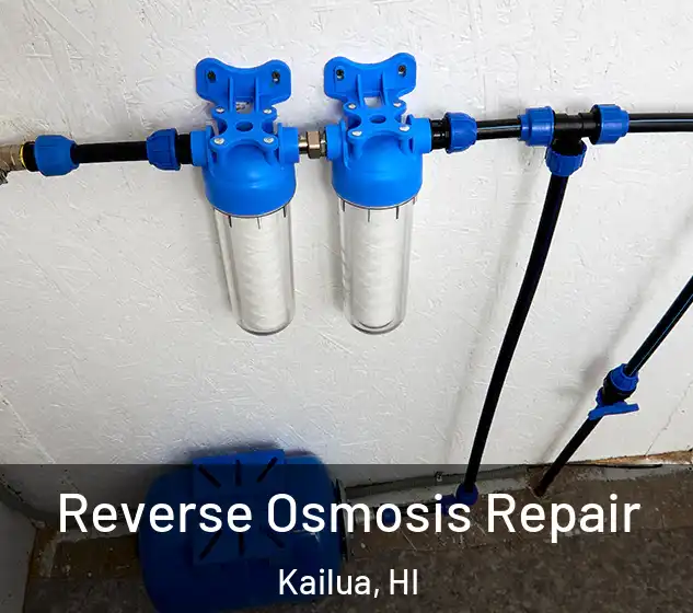  Reverse Osmosis Repair Kailua, HI