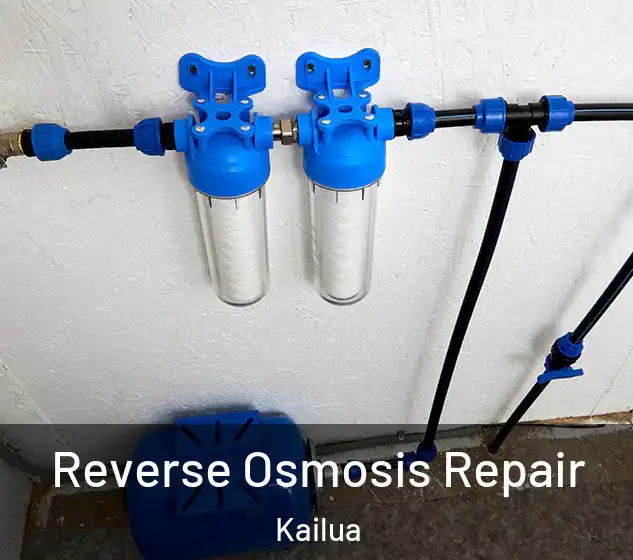  Reverse Osmosis Repair Kailua