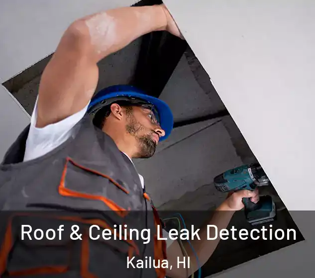  Roof & Ceiling Leak Detection Kailua, HI