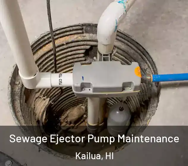  Sewage Ejector Pump Maintenance Kailua, HI