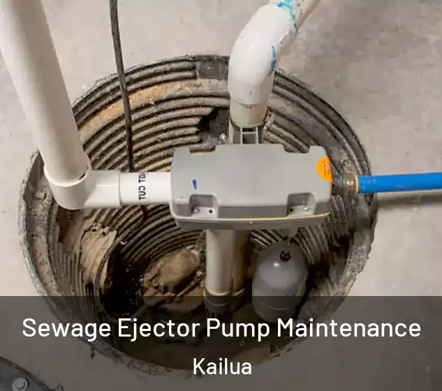  Sewage Ejector Pump Maintenance Kailua