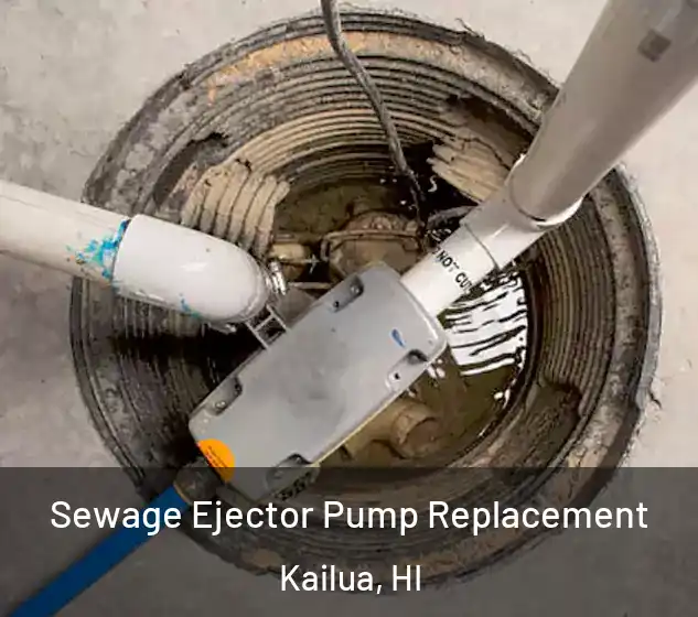  Sewage Ejector Pump Replacement Kailua, HI