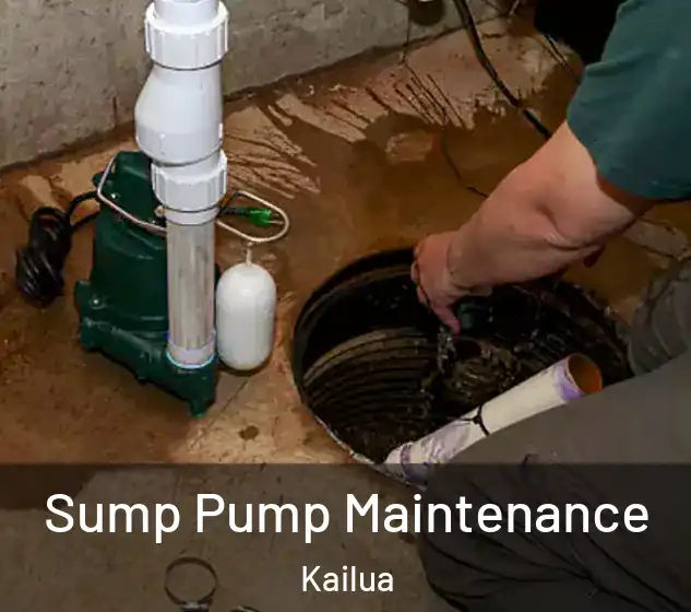  Sump Pump Maintenance Kailua