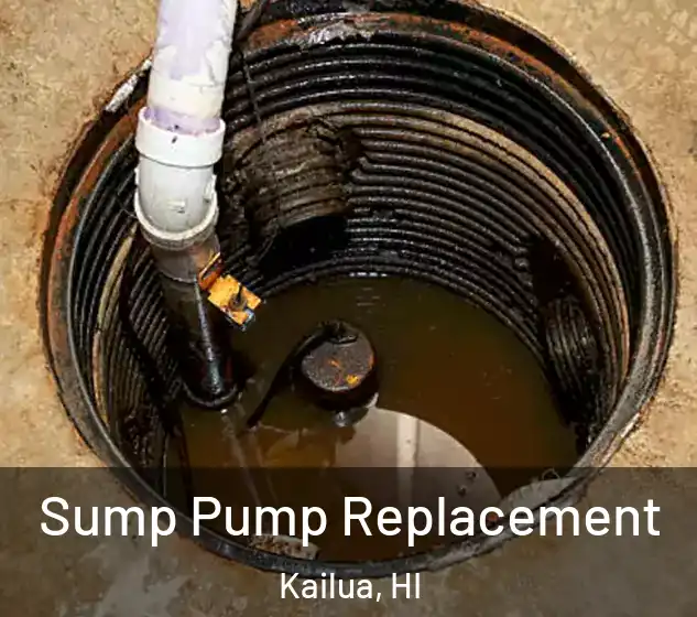  Sump Pump Replacement Kailua, HI