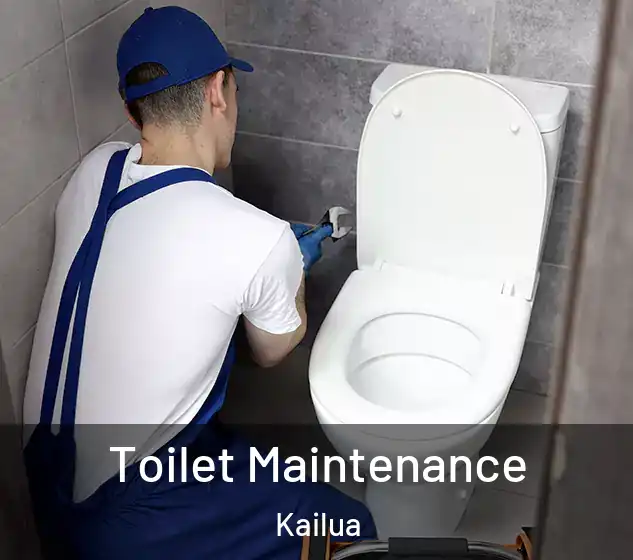  Toilet Maintenance Kailua