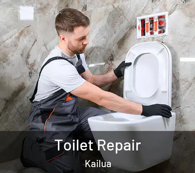  Toilet Repair Kailua