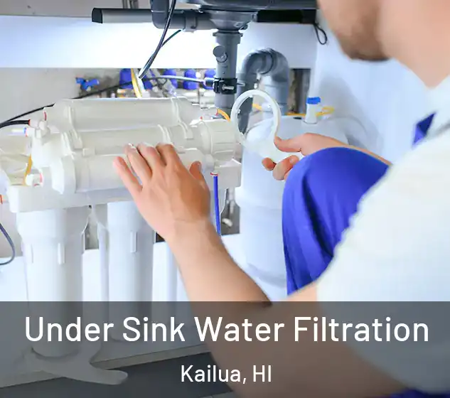  Under Sink Water Filtration Kailua, HI