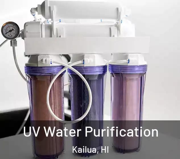  UV Water Purification Kailua, HI