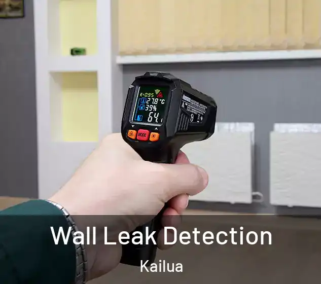  Wall Leak Detection Kailua