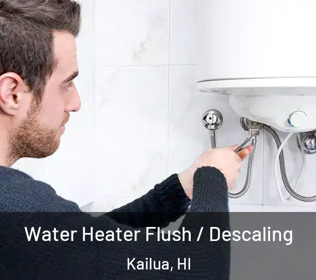  Water Heater Flush / Descaling Kailua, HI