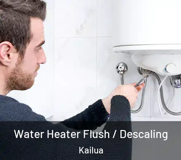  Water Heater Flush / Descaling Kailua
