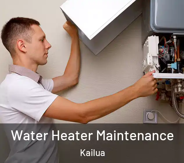  Water Heater Maintenance Kailua