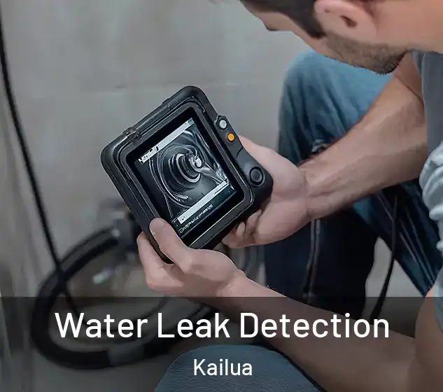  Water Leak Detection Kailua