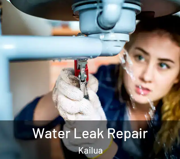  Water Leak Repair Kailua
