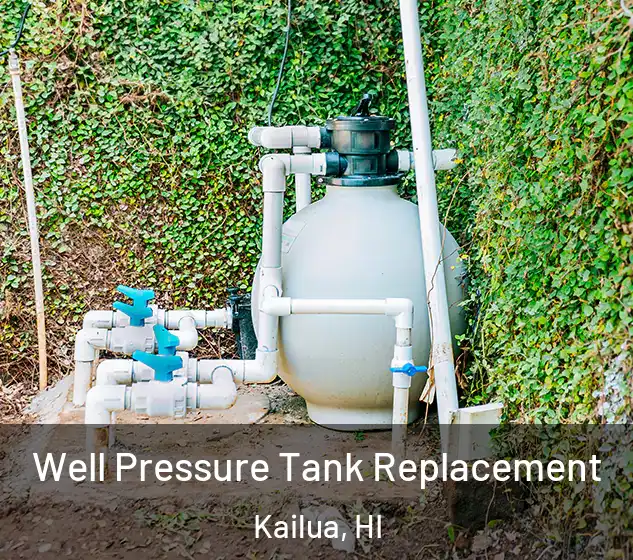  Well Pressure Tank Replacement Kailua, HI