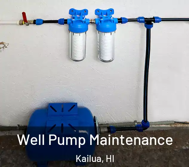 Well Pump Maintenance Kailua, HI