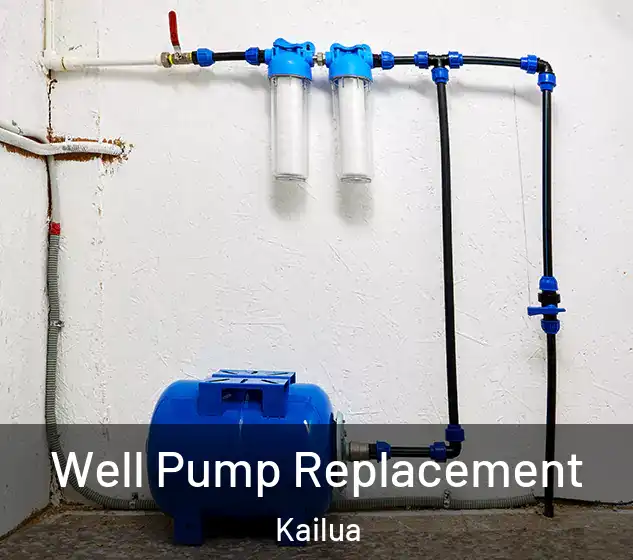  Well Pump Replacement Kailua